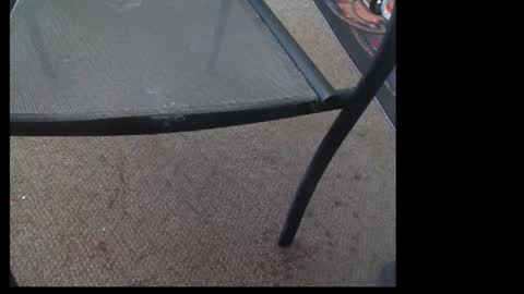 10mm_socket online show from 09.29.25