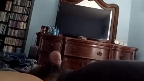 12345marihtc online show from 10.20.25