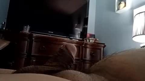 12345marihtc online show from 11.24.25