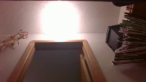 Snapshot of 123loonymail chatting on 10.12.25 123loonymail online show from 10.12.25