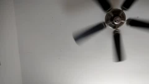 luv to cum online show from 03.06.26