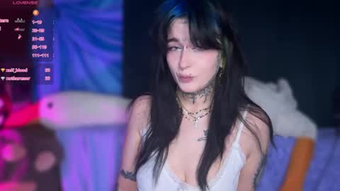 Teya online show from 04.24.26