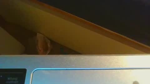 Jason online show from 12.15.24