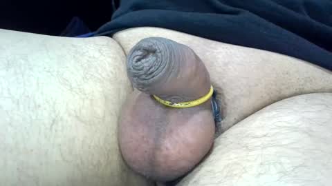 MICA online show from 12.28.24