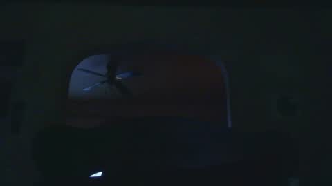 Pizza online show from 11.08.25