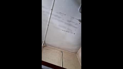 2024mattgold online show from 04.12.26