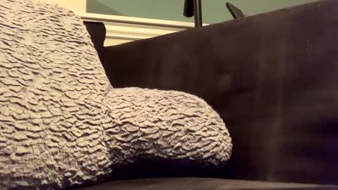 25923 online show from 01.14.25