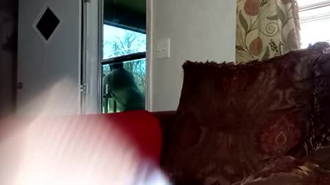 Snapshot of 2ccjbstar chatting on 02.22.26 BlacJewels online show from 02.22.26