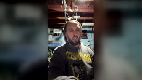 33adidas online show from 03.15.26