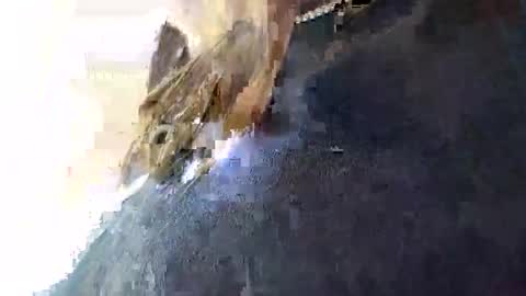 3X NAXAA online show from 01.16.26