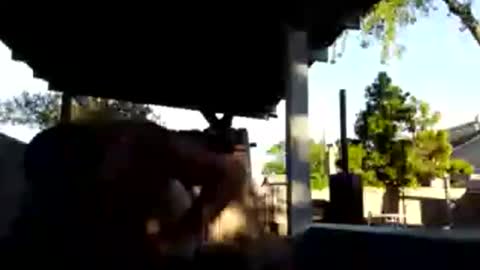 420dick420707 online show from 03.19.26