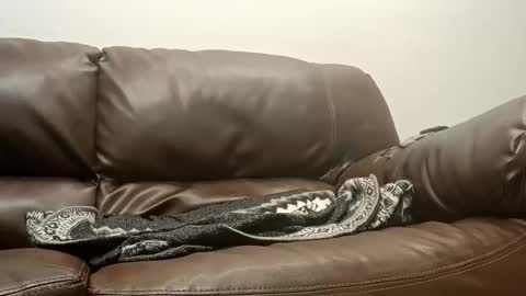 50groupauto online show from 01.14.26