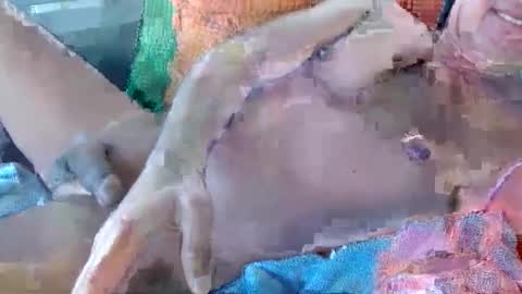 Daddy online show from 11.17.25