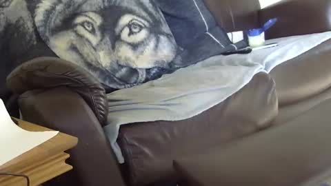 66bear online show from 03.09.26