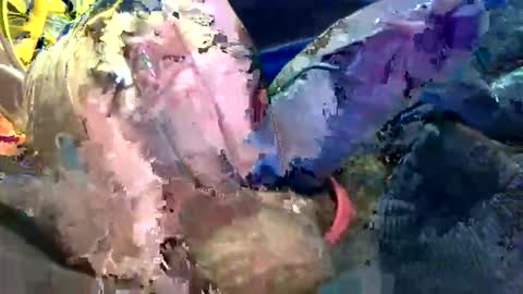 6990fiko online show from 10.27.25