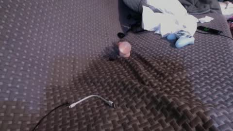 Chris online show from 03.02.25