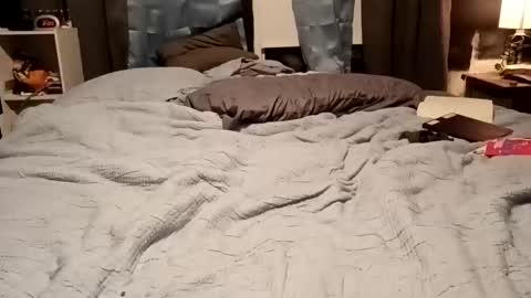 7lairddip online show from 02.15.26