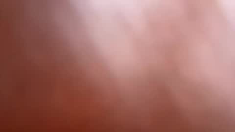 bob big head online show from 03.12.25