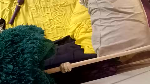 8intenn online show from 03.24.26