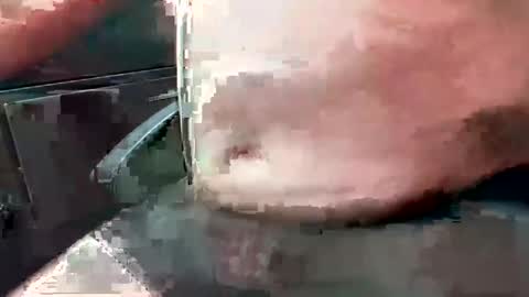 99zeus9 online show from 10.25.25