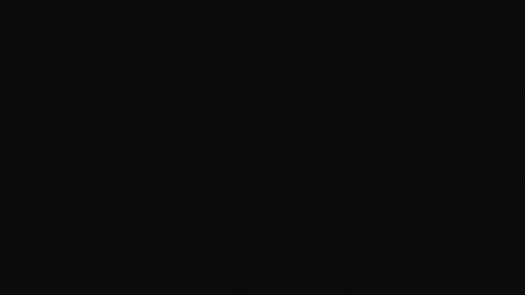  Abby  online show from 02.17.26