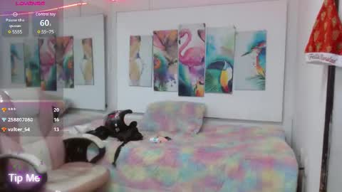 Snapshot of _alegriamartinez_ chatting on 02.19.25 _alegriamartinez_ online show from 02.19.25