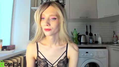 Gaylord online show from 01.28.25