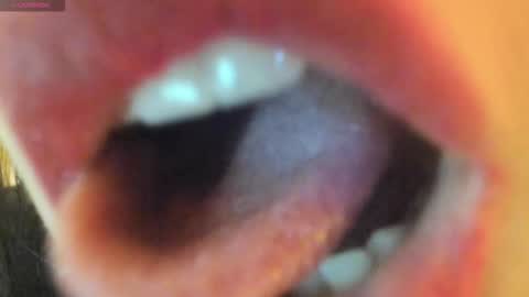 Snapshot of _antomouth_paradise chatting on 09.28.25 antonia online show from 09.28.25