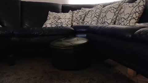 b0rn4porn online show from 09.11.25