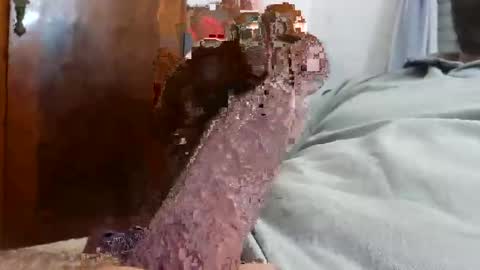 _black_horse_1 online show from 12.04.25