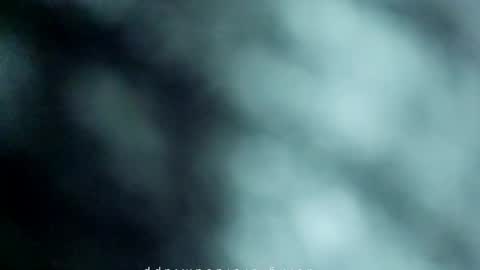 _black_horse_1 online show from 05.15.26
