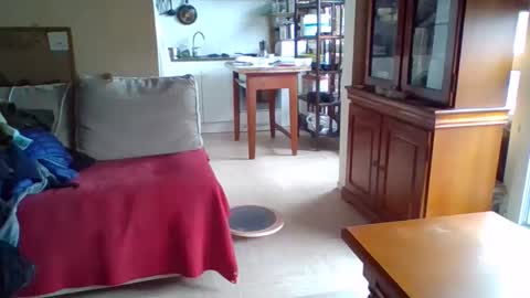 _bubble_buttfunxxx online show from 10.13.25