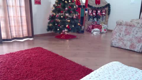 candygirl online show from 01.15.25