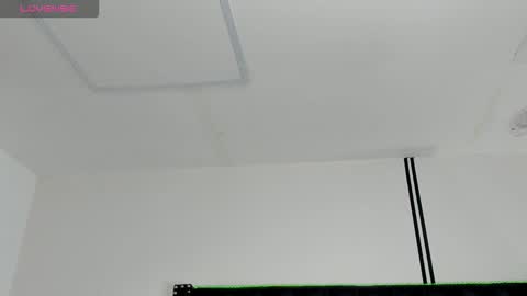 Snapshot of _cherry_fox chatting on 02.17.26 _cherry_fox online show from 02.17.26