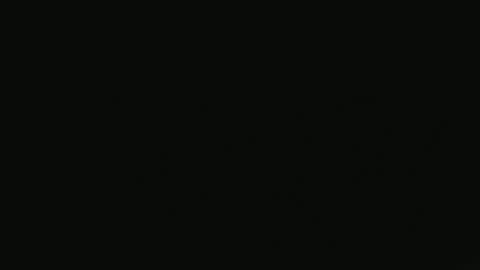 Dani online show from 10.17.25