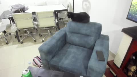 Emma online show from 01.17.25