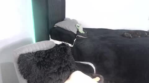 Proxy online show from 09.25.25