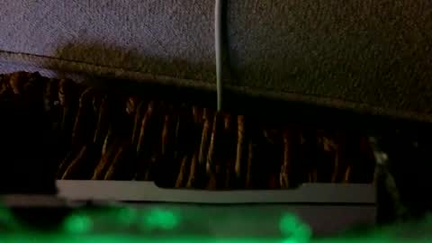 Snapshot of _frankensquirter___ chatting on 02.06.26 Rex online show from 02.06.26