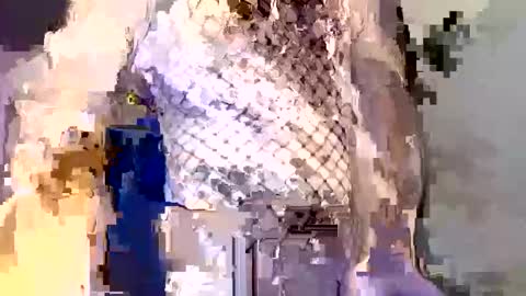 Snapshot of _incocknito_ chatting on 12.16.25 incocknito online show from 12.16.25