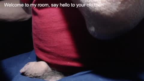 _jimmini online show from 02.21.25