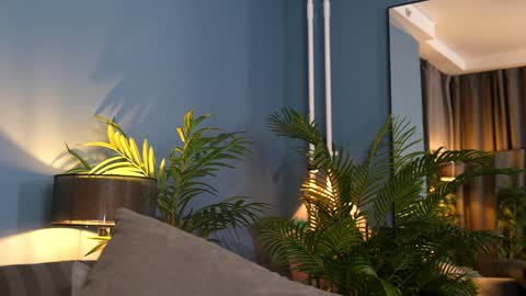 FANSLY ---   anal in private 700 tokens online show from 11.07.25