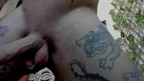 Layne online show from 02.21.25