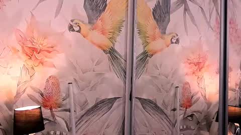 Lisa online show from 01.18.25