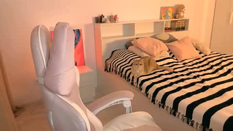 Snapshot of _loveliness_ chatting on 11.23.25 Amanda mandy online show from 11.23.25