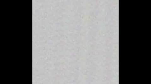 _maccaa_ online show from 11.12.25