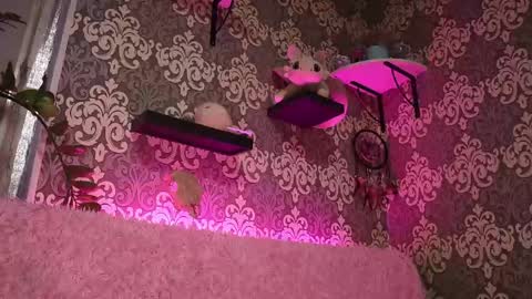 Stream  at  am in MoscowI am waiting for you very much3 online show from 04.26.26