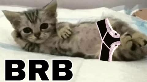 miko3 online show from 03.12.26