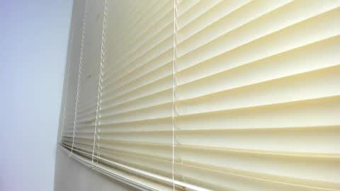 Snapshot of _molly_rosse_ chatting on 11.12.25 _molly_rosse_ online show from 11.12.25