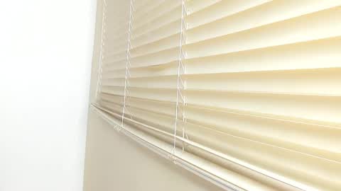 Snapshot of _molly_rosse_ chatting on 11.21.25 _molly_rosse_ online show from 11.21.25