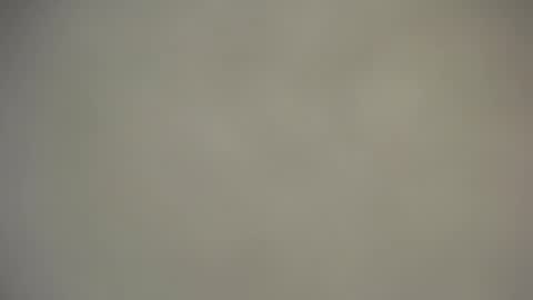 Nica online show from 11.25.25